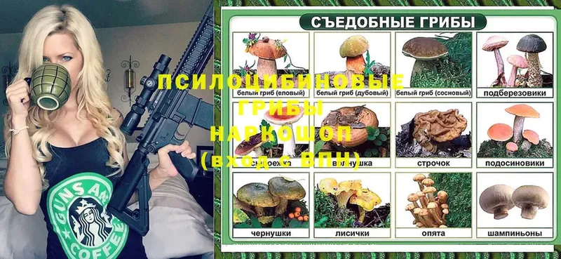 где можно купить   Поронайск  darknet телеграм  Псилоцибиновые грибы MAGIC MUSHROOMS 